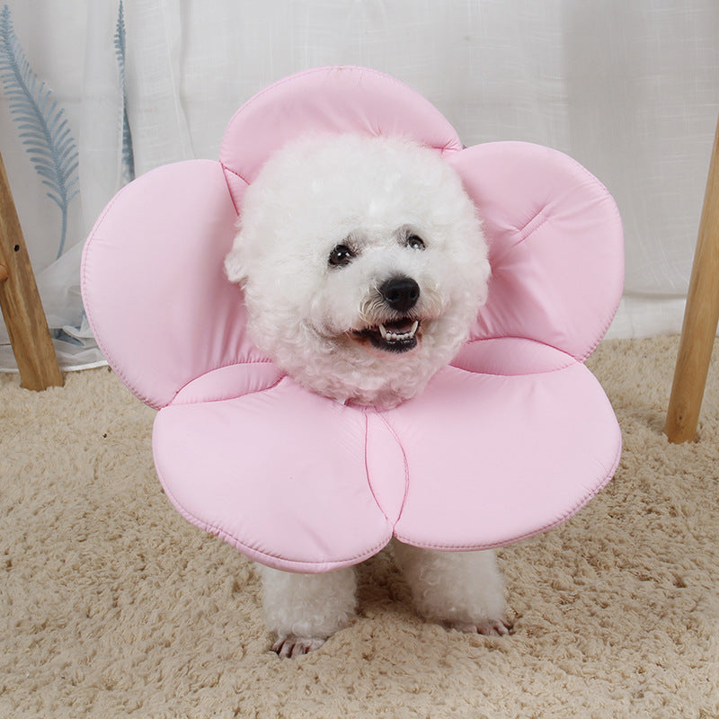 Beauty flower anti-scratch pet protective cover