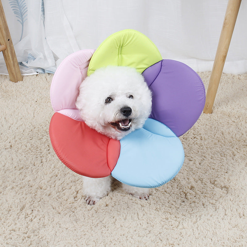 PET FRIENDLY HOME