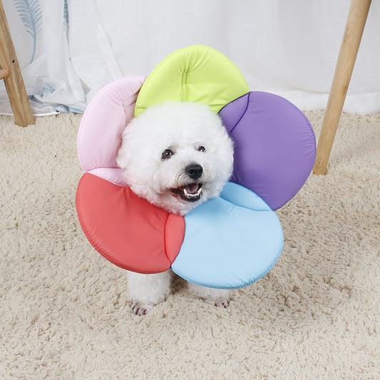 Beauty flower anti-scratch pet protective cover