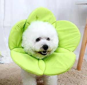 Beauty flower anti-scratch pet protective cover